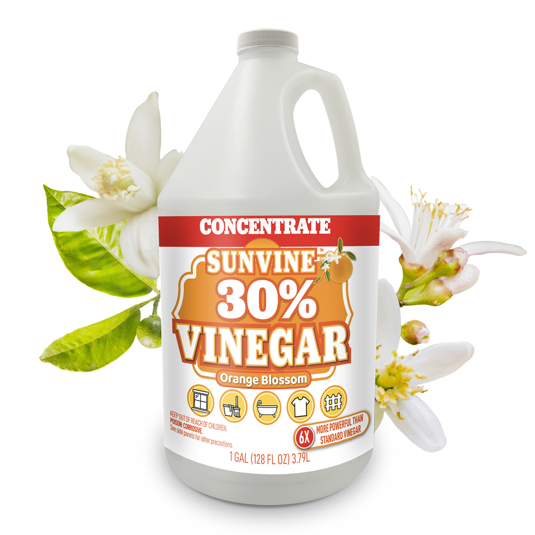 Sunvine
